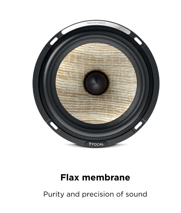 Focal Sub 1000F - Compact Subwoofer